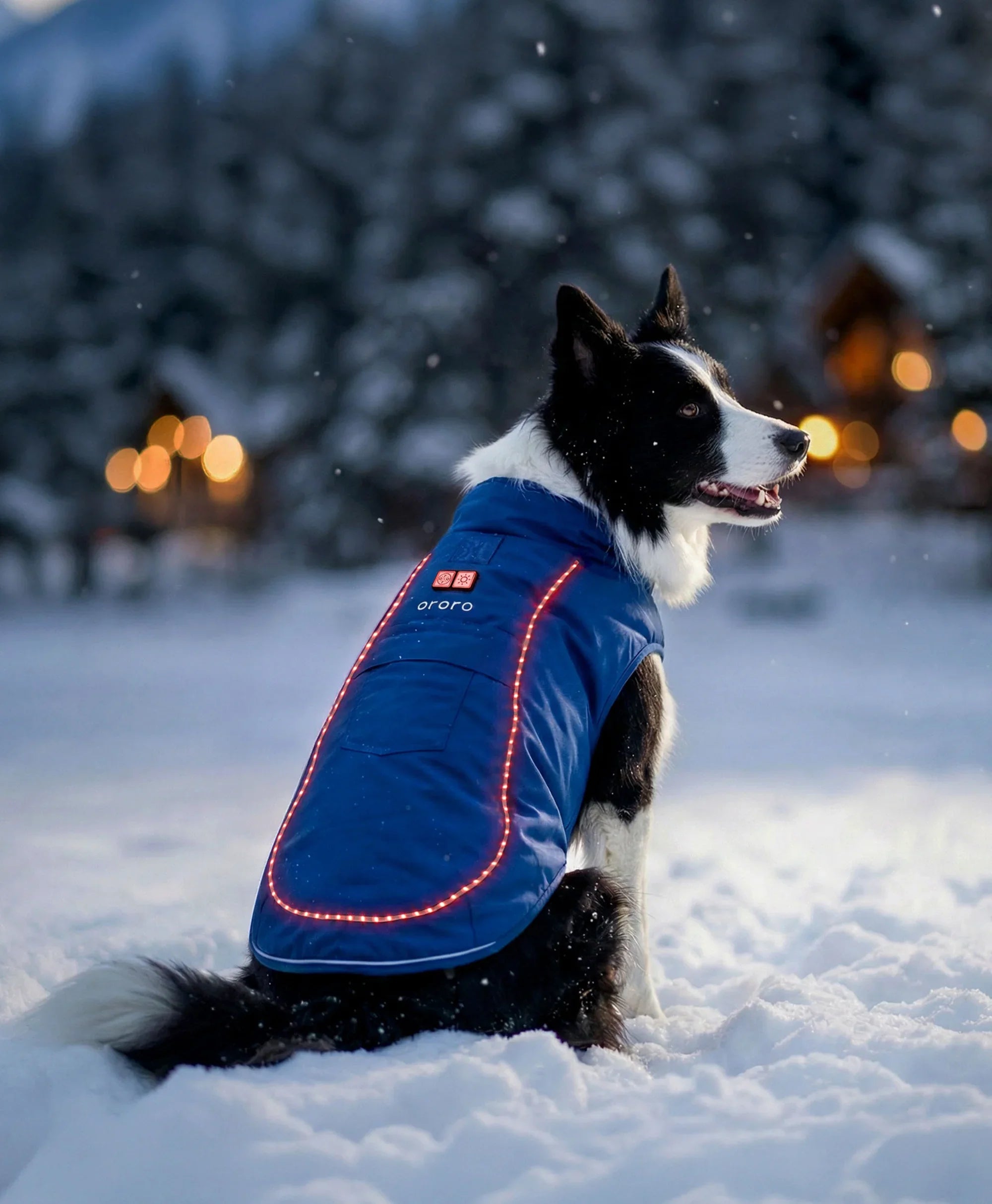 Koldpwoof 4-Zone Heated Dog Vest w/ LED Lights, Thumbnail 6